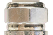 Photo - Primary