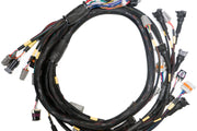Terminated Engine Harness GM LS GEN3/4