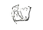 Load image into Gallery viewer, Photo - Unmounted
