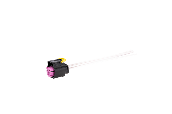 Photo   primary