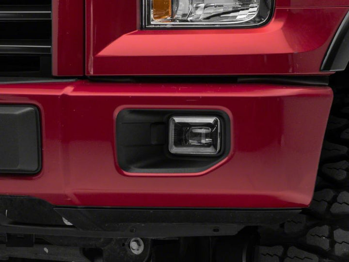 Photo   close up