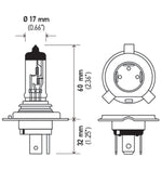 Load image into Gallery viewer, Technical Drawing
