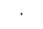 Load image into Gallery viewer, Photo - Close Up
