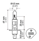 Load image into Gallery viewer, Technical Drawing
