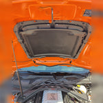 Load image into Gallery viewer, Photo - Mounted
