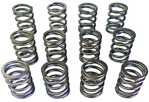 JWT SPRING SET VG30E & L28 OUTER SPR. ONLY, I/H 1.575" 80LB ON SEAT .600" LIFT MAX — AVG3E-L6SPR