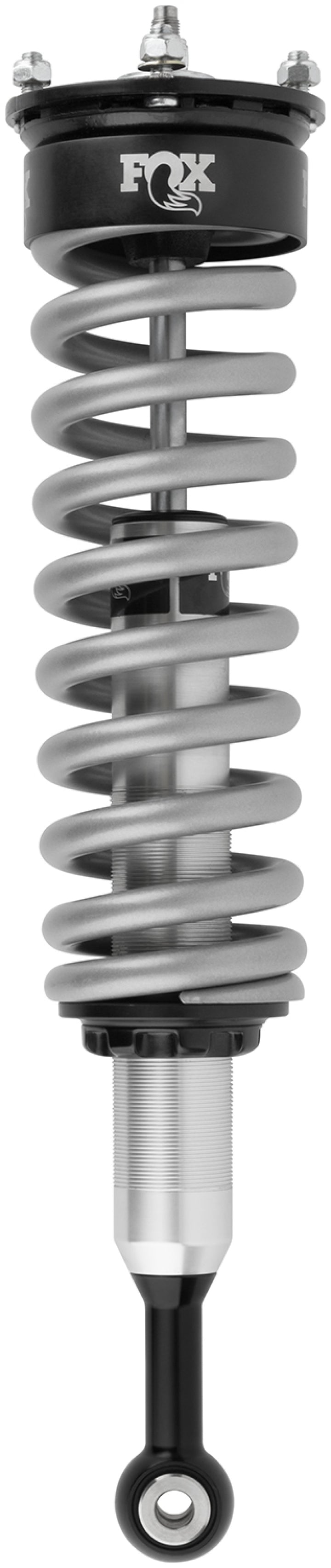 Photo   primary