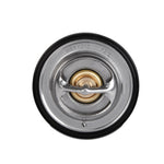 Load image into Gallery viewer, Photo - Close Up
