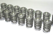 JWT SPRING SET (QTY 16) SR20 FOR JWT "C" SERIES CAMS USE W/OEM FACTORY RETAINERS (NOT INCLUDED) — ASER1-SPRNG
