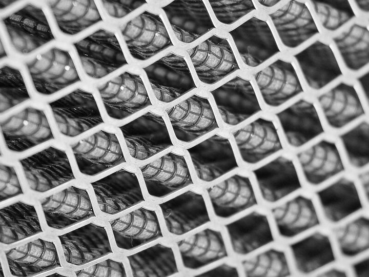 Photo   close up