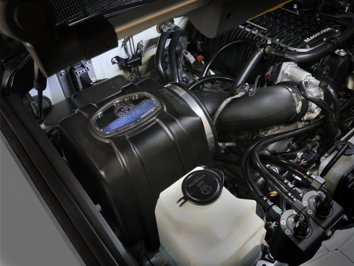 Photo   mounted