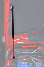 Load image into Gallery viewer, Photo - Mounted
