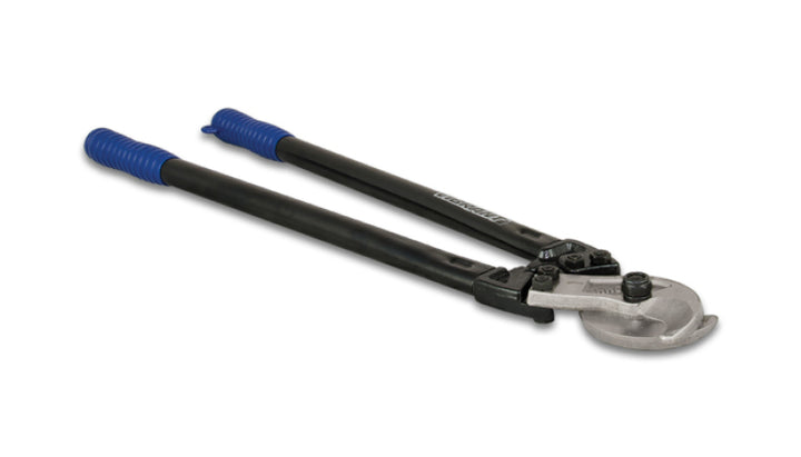 Photo   primary