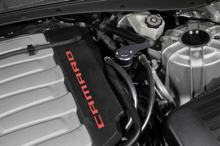 Photo   mounted