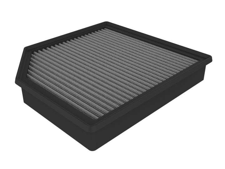 Photo   primary