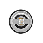 Load image into Gallery viewer, Photo - Close Up

