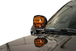 Load image into Gallery viewer, Photo - Close Up
