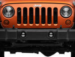 Load image into Gallery viewer, Photo - Close Up
