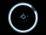Load image into Gallery viewer, Photo - Close Up
