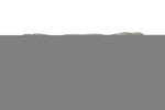 Load image into Gallery viewer, Photo - Close Up
