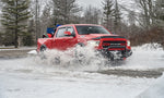 Load image into Gallery viewer, Photo - Mounted
