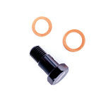 Load image into Gallery viewer, E36 / S54 Oil Filter Housing Vanos Banjo Bolt
