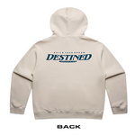 Load image into Gallery viewer, Destined Hoodies
