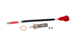Load image into Gallery viewer, Photo - Primary
