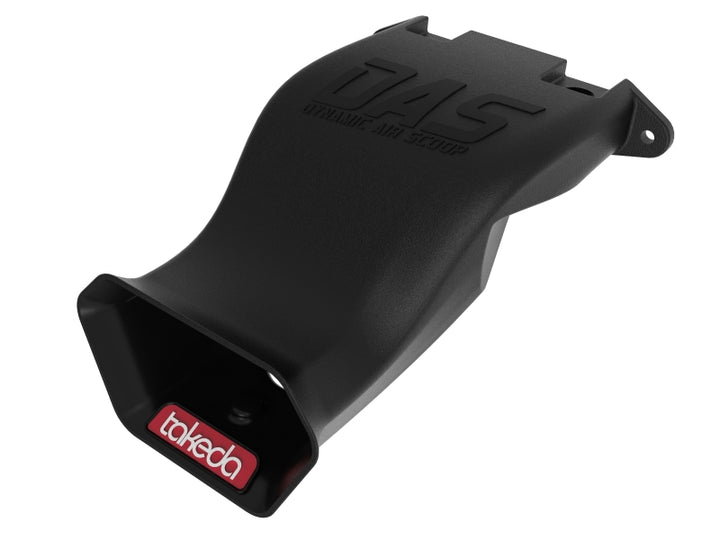 Photo   primary