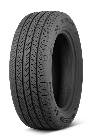 P as1 tire