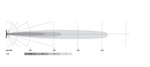 Load image into Gallery viewer, Technical Drawing
