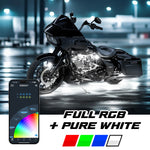 Load image into Gallery viewer, User 1
