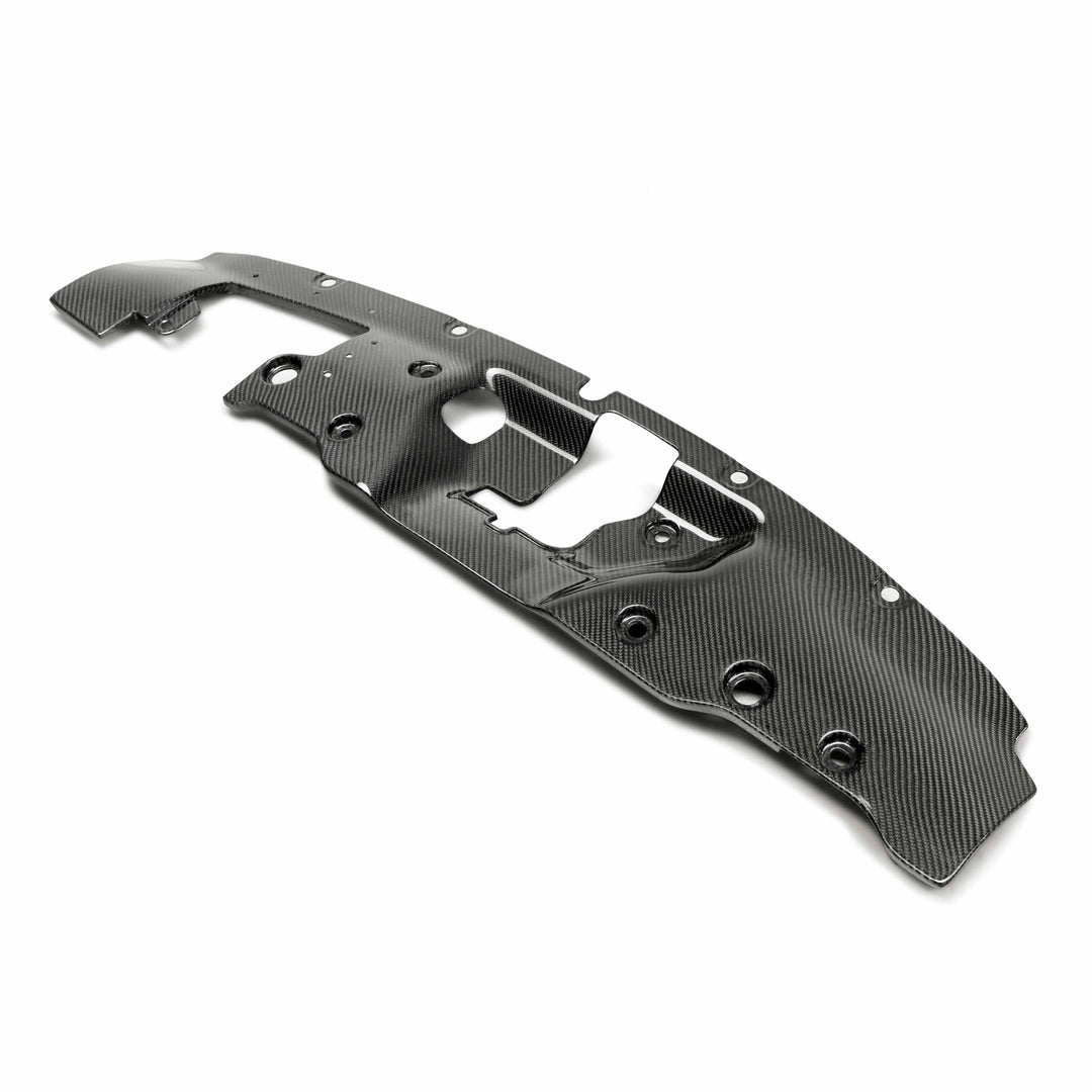 Seibon Carbon fiber cooling plate for 2017-2021 Honda Civic Type R - image 2