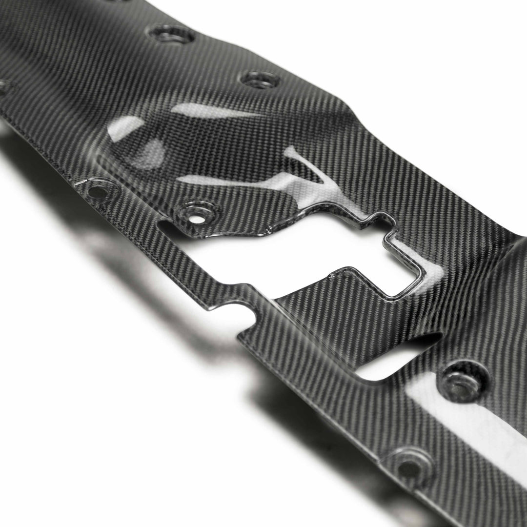 Seibon Carbon fiber cooling plate for 2017-2021 Honda Civic Type R - image 3