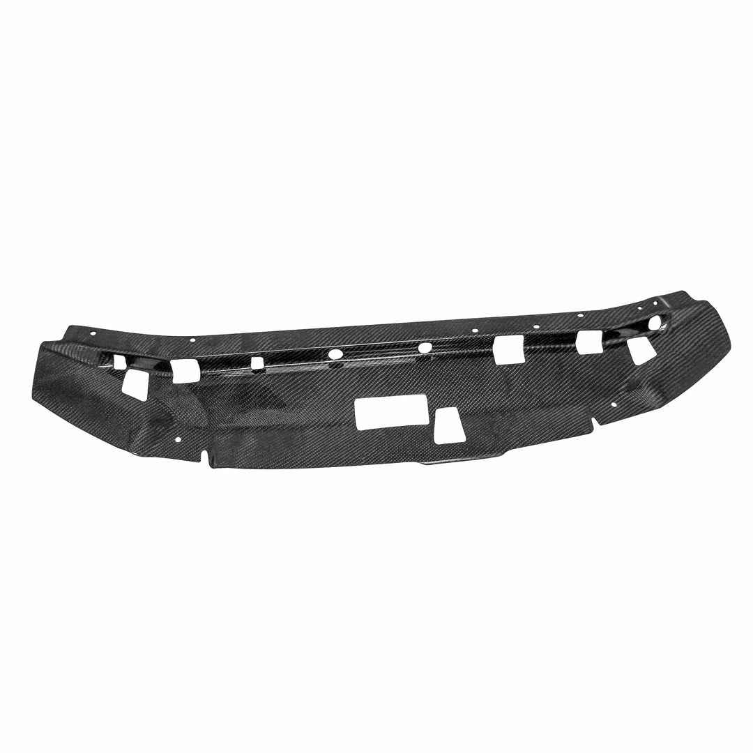 Seibon Carbon fiber cooling plate for 1999-2002 Nissan Skyline R34 GT-R - image 2