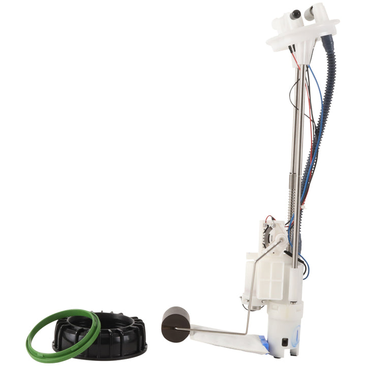 Photo   primary