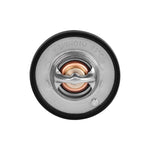 Load image into Gallery viewer, Photo - Close Up
