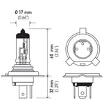 Load image into Gallery viewer, Technical Drawing
