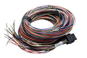 B Loom Long (5LB)